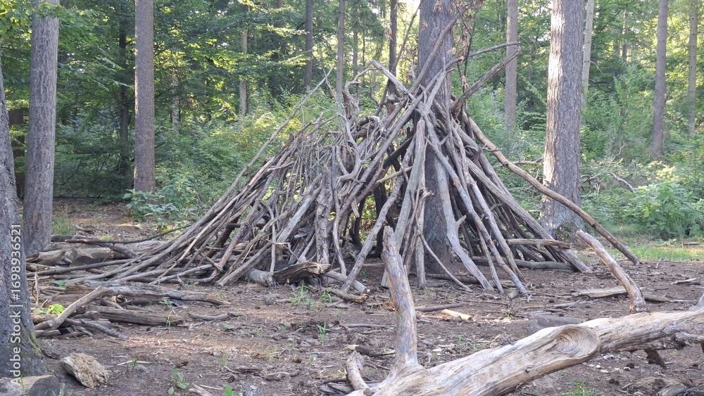 Obraz premium Stacked branches forming a shelter structure in a forest clearing 
