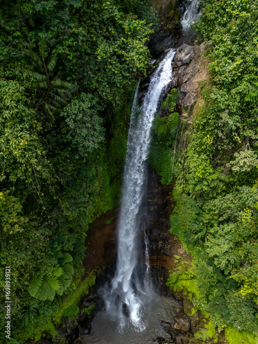 A breathtaking aerial view of a powerful gitgit waterfall cascading through a lush, verdant jungle in Singaraja, Bali, Indonesia. This image captures the raw beauty of nature and adventure.
