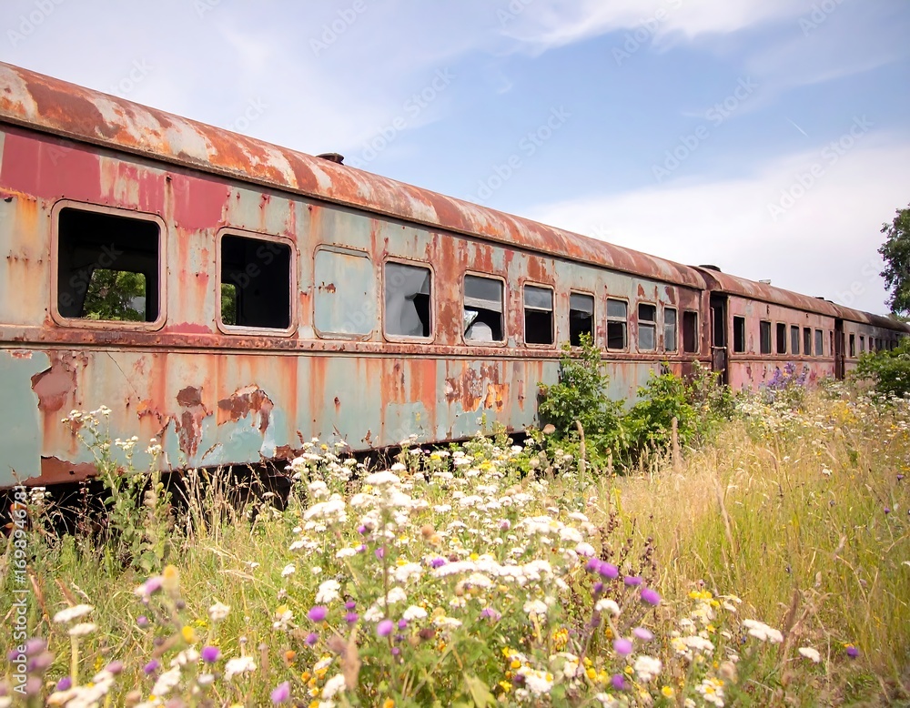 Obraz premium Rusty train car in overgrown field