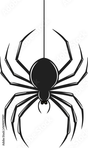 spider on a web