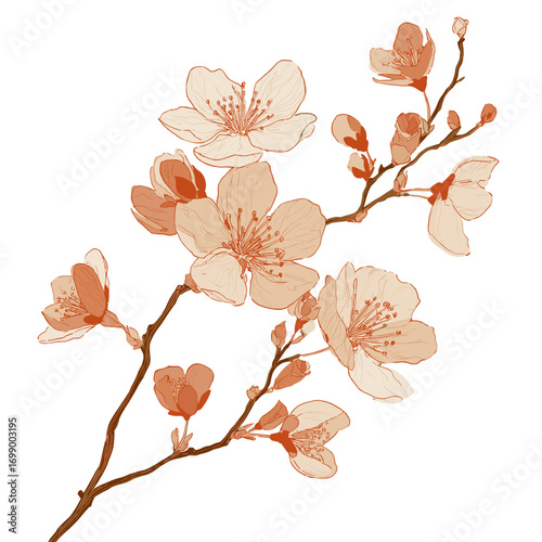Sakura Blooming Branch: A delicate branch of Sakura blossoms, showcasing intricate details of the petals and buds, symbolizing renewal and fleeting beauty.