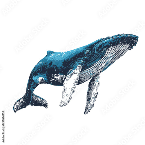 Whale's Majestic Ascent: A magnificent whale, captured in a detailed illustration, gracefully ascends. The artwork captures its form and the tranquility of the ocean. 