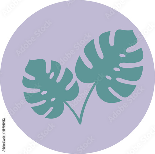 Close-up of two large teal-hued tropical leaves with intricate veining on a light purple background