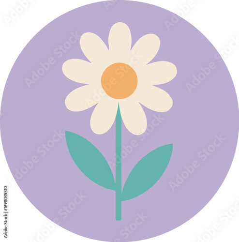 Single daisy flower with white petals and yellow-orange center on purple background