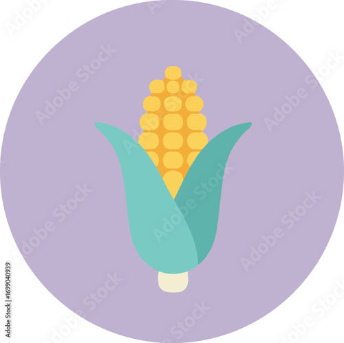Single ear of corn with light blue husk on light purple background