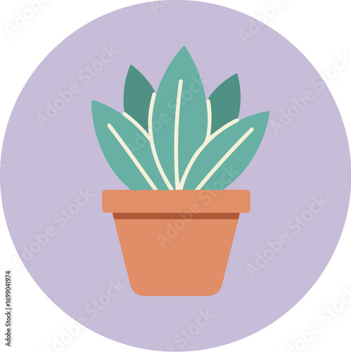 Potted plant with broad teal-green leaves in a terracotta pot on a gradient purple background