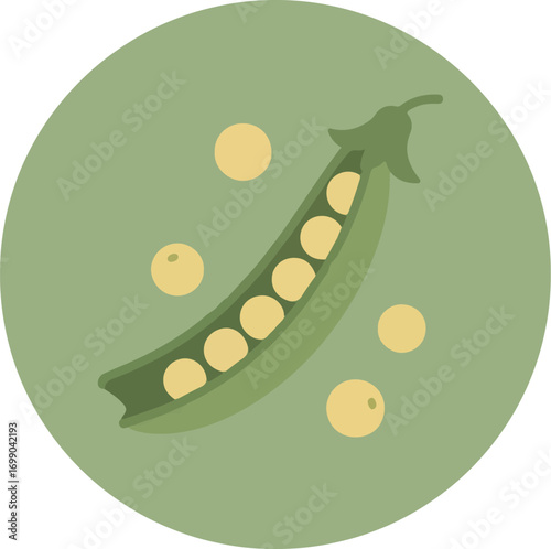 Botanical illustration of a green pea pod with peas on a solid green background