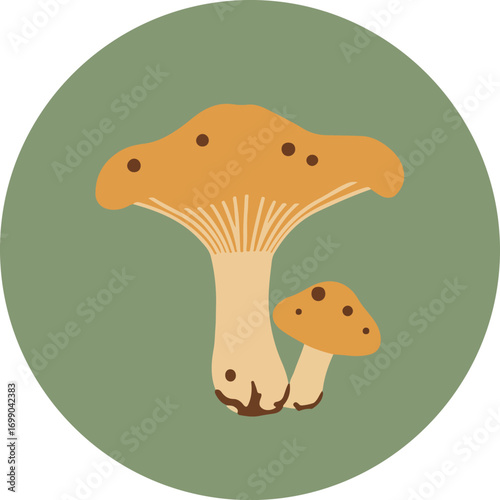 Two mushrooms with orange caps and white stems on a green background