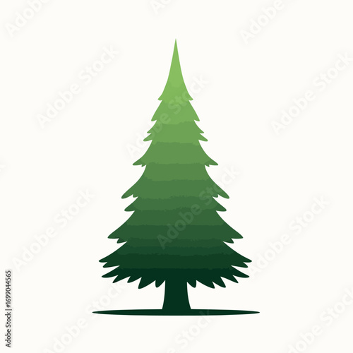 Evergreen tree silhouette illustration on white background.