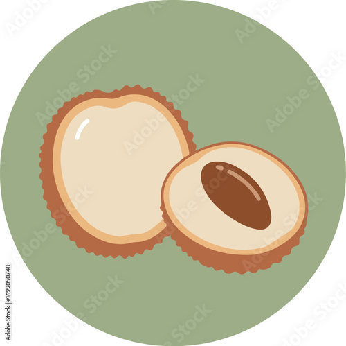 Close-up of a halved Brazil nut with a dark brown seed on a muted green background