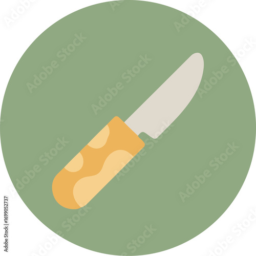 Sleek silver knife with light orange wooden handle on green background