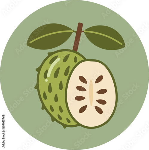 Botanical illustration of a custard apple with green exterior, white interior, and brown seeds