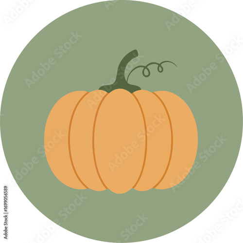 Single pumpkin with green stem on soft green background