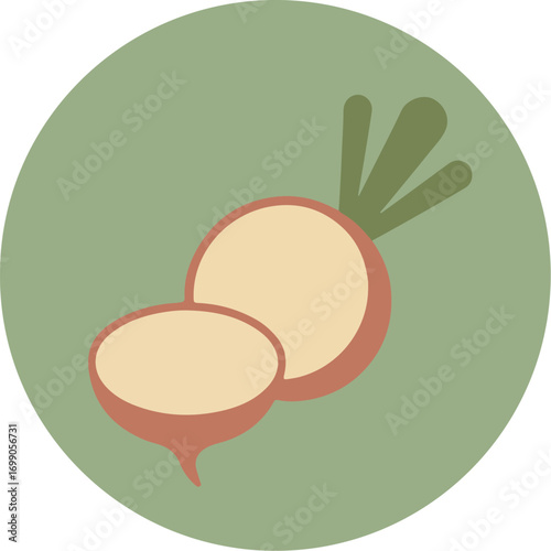 Botanical illustration of a turnip with green leaves on a light green background