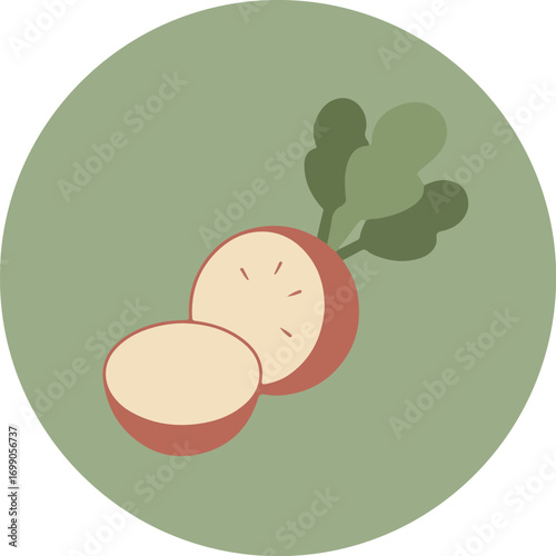 Close-up of a halved radish with leafy greens on a green background