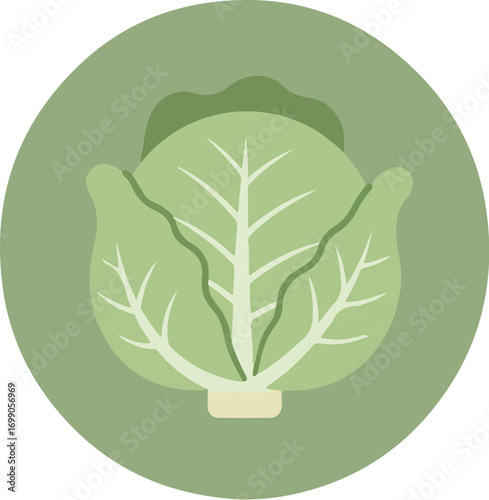Close-up of fresh broccoli with intricate florets on a solid green circular background
