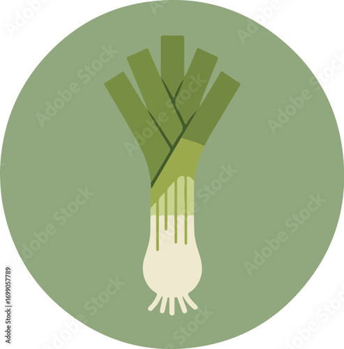 Close-up of a fresh leek with white bulbous base and green leaves against a solid green background