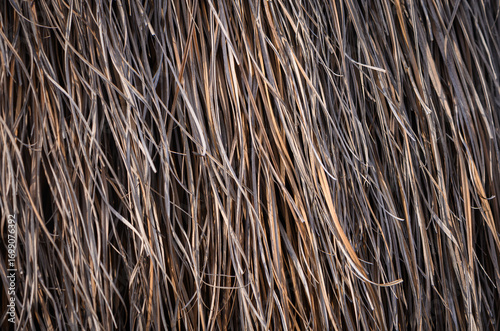Thatch roof of a bungalow background