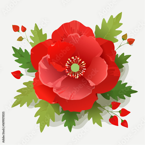 Hintergrund Klatschmohn