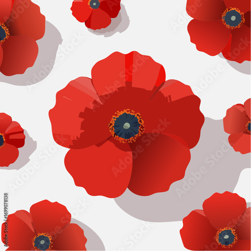 Hintergrund Klatschmohn