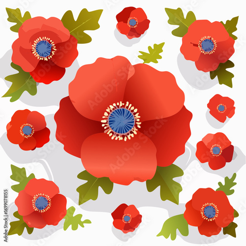 Hintergrund Klatschmohn