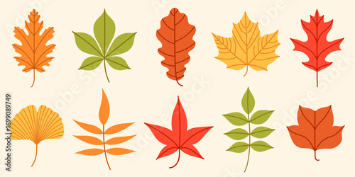 Flat vector collection of colorful autumn leaves illustration with different shapes. Simple fall leaf set for scrapbooking, card, pattern, banner, textile, packaging, printable, kids design.