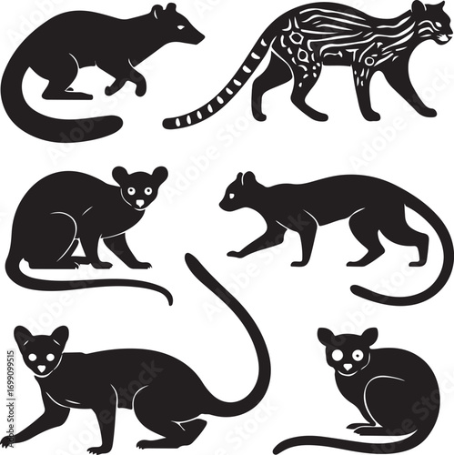 Diverse Fossa Animal Silhouettes in Various Poses on White Background mammal wild animal