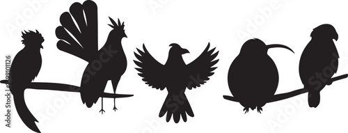 Silhouette Icons of Various Birds Including Parrots Eagle Kiwi and Owl on a White Background collection