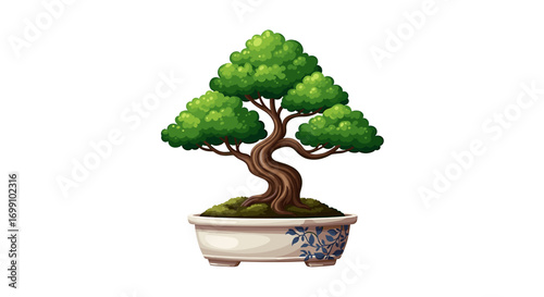 Elegant Bonsai Tree in Decorative Pot on White Background