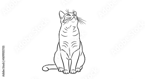 Line Art: Curious Cat Gazing Upward on White Background