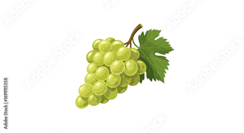 Fresh Green Grapes Still Life Isolated on White Background