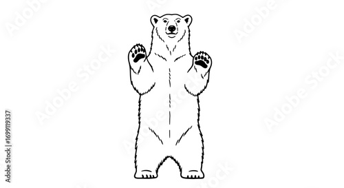 Standing Polar Bear Illustration on White Background Ready to Color
