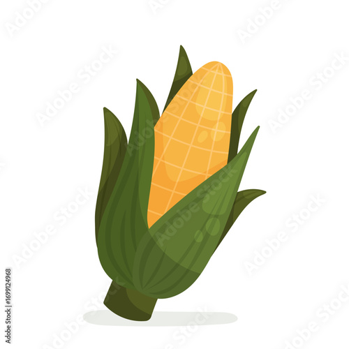 Vector ear of corn with green husk and golden kernels. Great for farm logos, labels, packaging, recipes, menus, stickers, posters, seed catalogs, harvest and autumn designs