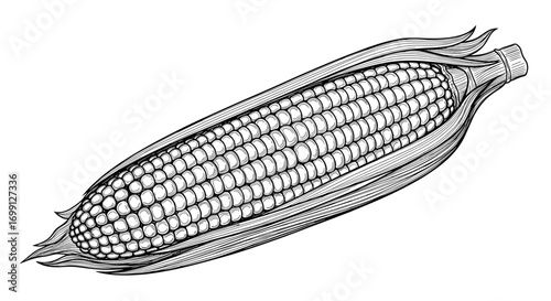Intricate Black and White Corn on the Cob Illustration