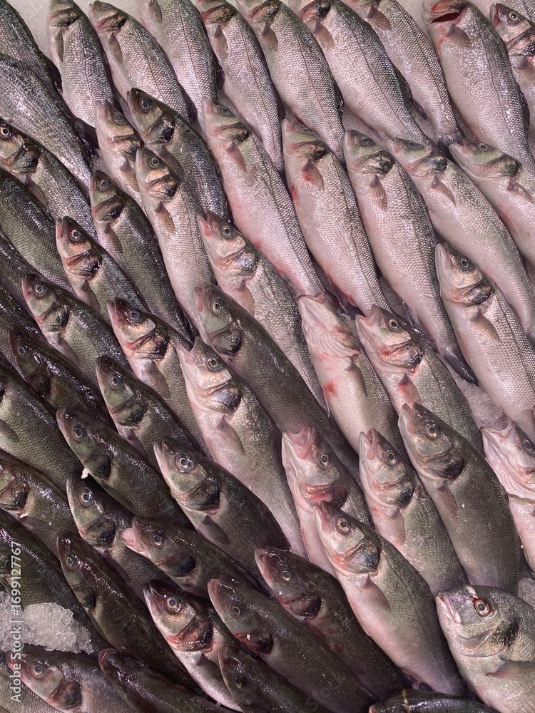 Obraz premium Fresh fish arranged in neat diagonal rows on display at a seafood market.
