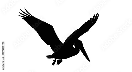 Silhouette of a pelican in flight with wings spread wide