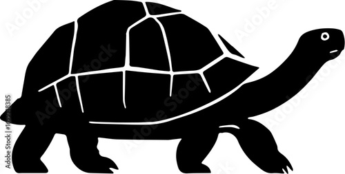 turtle vector illustration, isolated on white