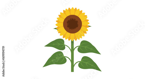 Vibrant sunflower illustration on pure white background, showcasing the beauty of a single flower with lush green leaves adorning its sturdy stem