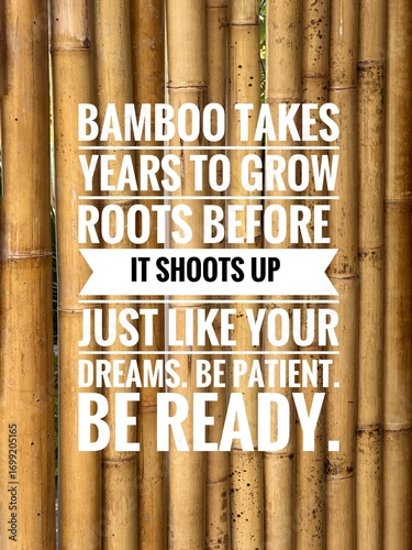 Inspirational life quote on blurry background. Bamboo takes years to grow roots before it shoots up.  Just like your dreams.  Be patience.  Be ready. 