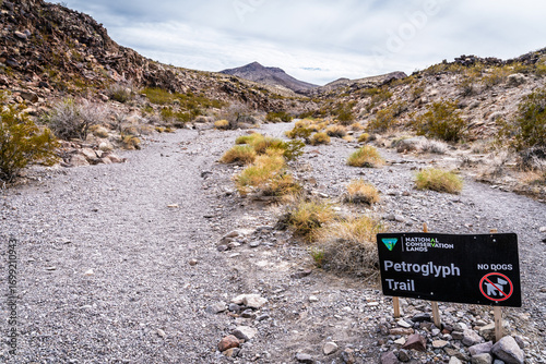 Canvas Print Petroglyph trail