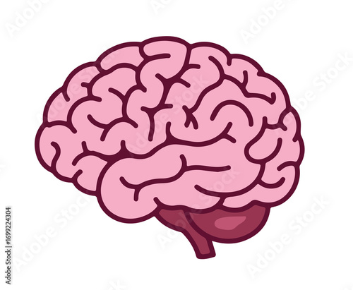 Cartoon brain illustration depicts a simplistic anatomical model on a white isolated background