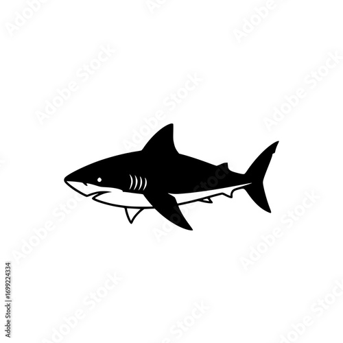 silhouette of shark swimming in ocean representing marine wildlife, aquatic predator, and underwater sea life