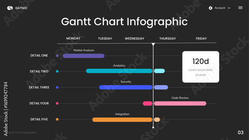 Gantt Chart Infographic