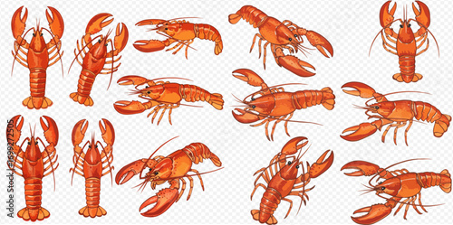 Collection of illustrated, cooked, red lobsters in various poses and orientations on a transparent background.