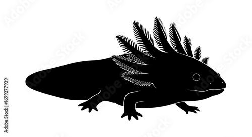 Black silhouette of an axolotl with feathery gills