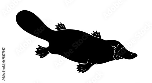 Black silhouette of a platypus swimming on a white background