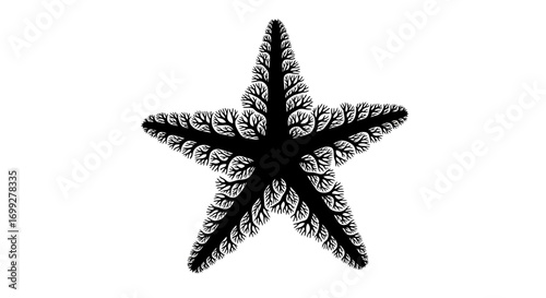 Black starfish silhouette with intricate branching pattern
