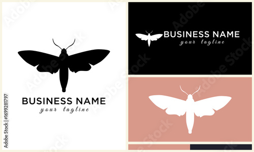 Moth Logo Design Variations.