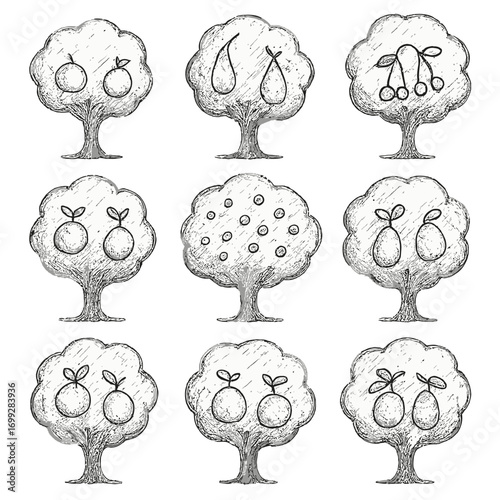 Chalkboard style fruit trees with pear and cherry sketches