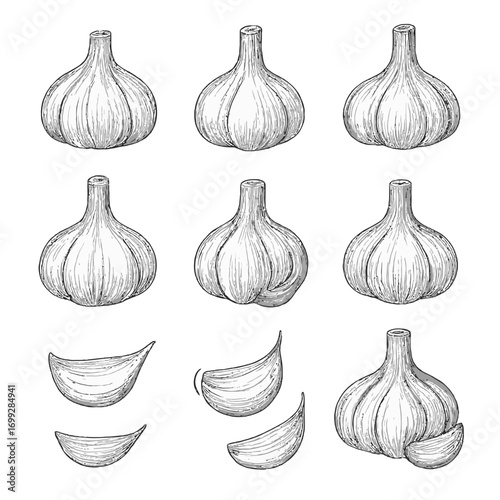 Hand drawn garlic bulbs and cloves set on grayscale background